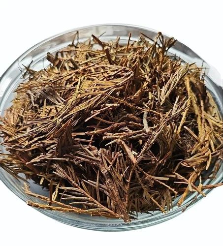 talispatra-herbs-500x500 (1).jpg