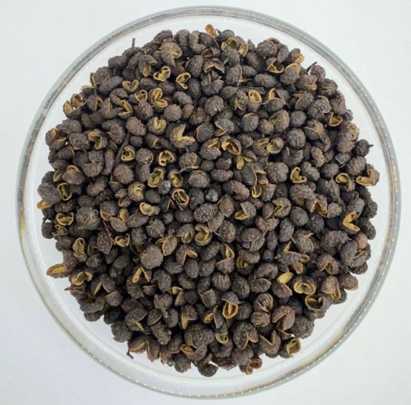 timur.webp