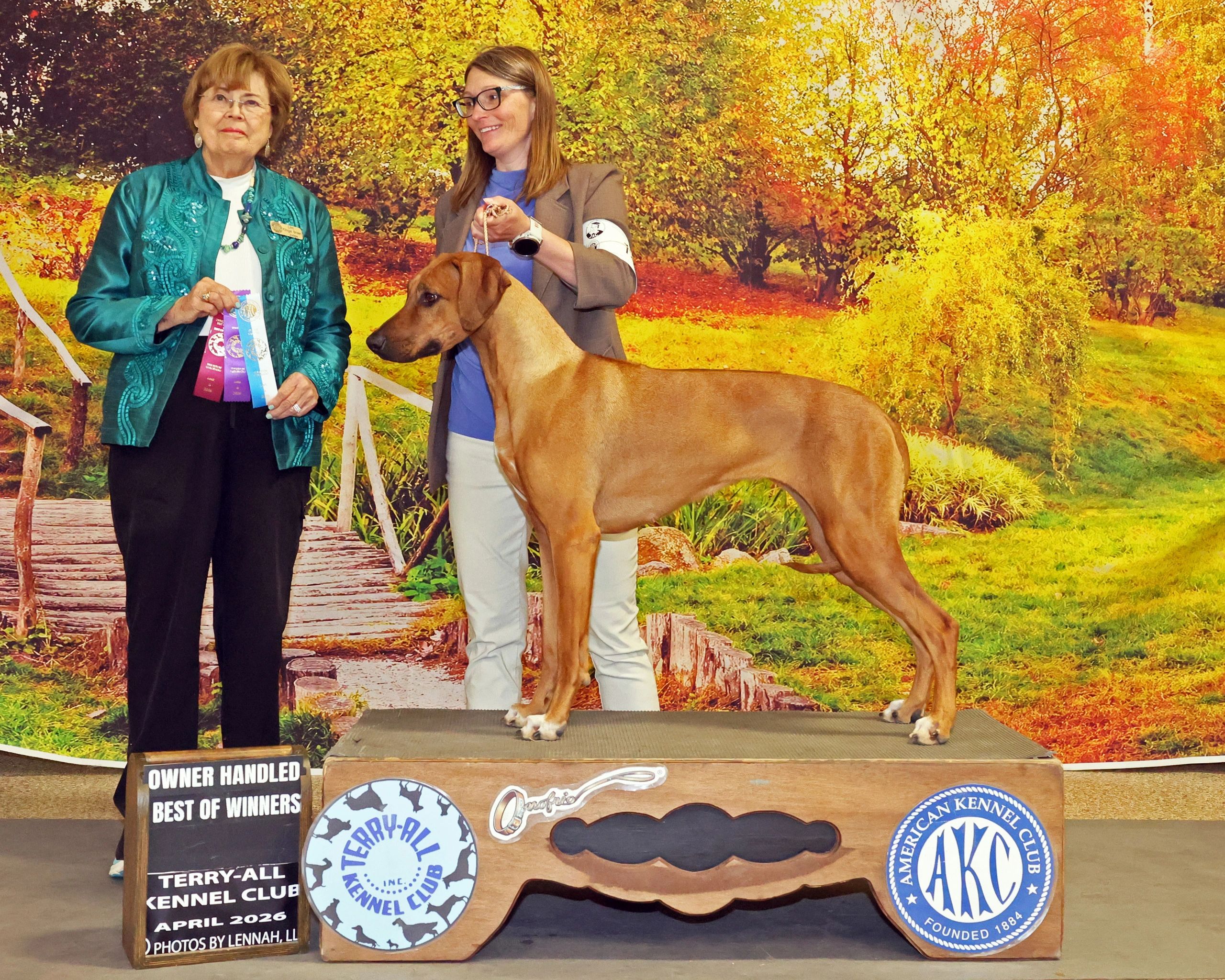 Woman holds a dog at a dog show with a judge holding ribbons.