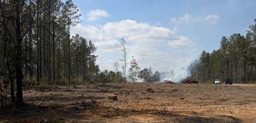 Cleared forest land with smoke and two vehicles under a partly cloudy sky.