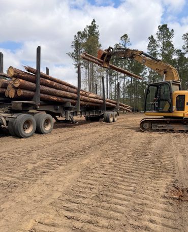 Excavator loading logs onto a truck in a forest area.