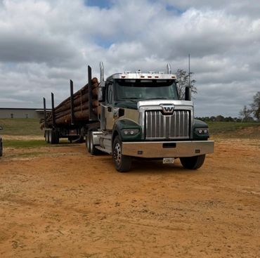 A large truck carrying logs on a dirt road under a cloudy sky.
