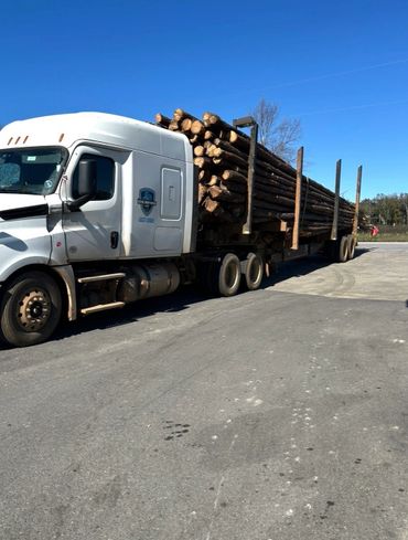 White truck loaded with long logs parked on pavement under clear sky.