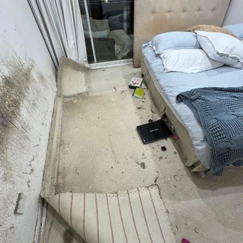 Bedroom with severe mould on wall and water-damaged carpet. Bedroom with severe mould on wall and water-damaged carpet.