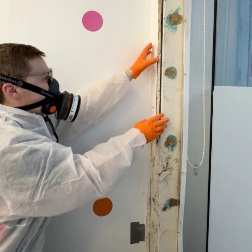 Restoration worker in protective gear removing mould-affected wall lining. Restoration worker in protective gear removing mould-affected wall lining.