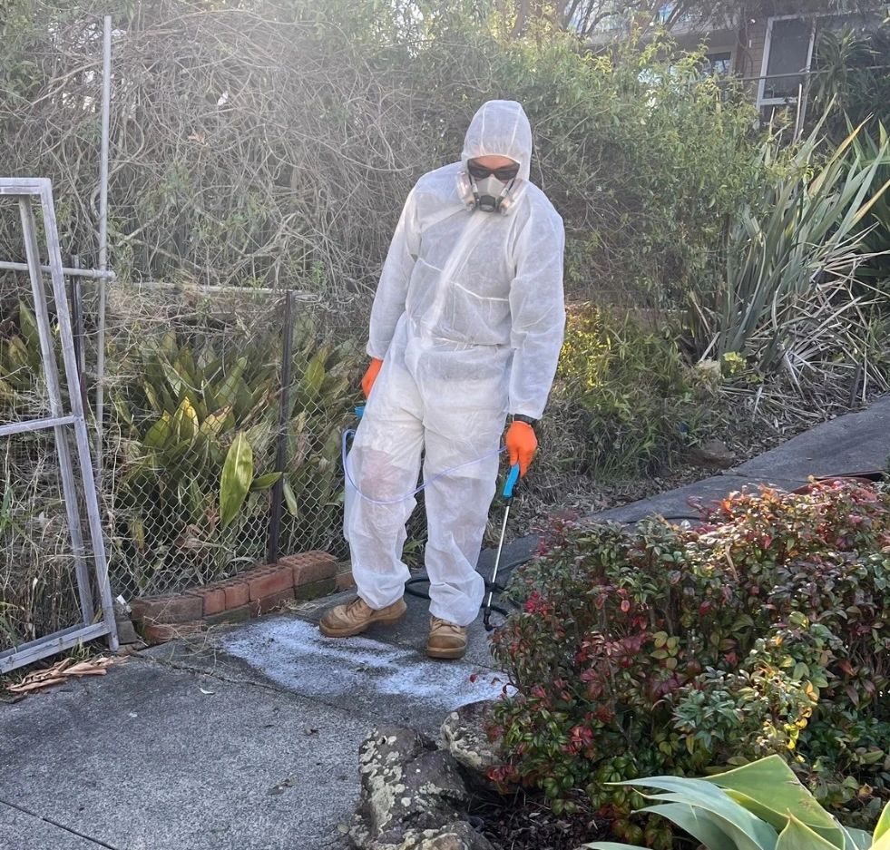 Restoration worker in protective suit and respirator applying mould treatment on outdoor concrete path. Restoration worker in protective suit and respirator applying mould treatment on outdoor concrete path.