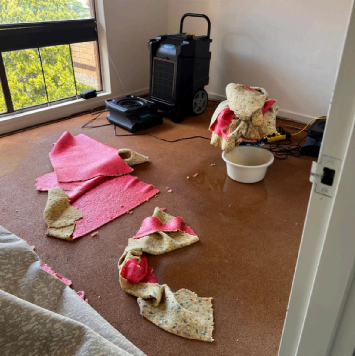 Flood damaged carpet removed with drying equipment in room. Flood damaged carpet removed with drying equipment in room.