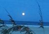 Watch a moon rise