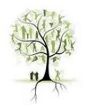 A family tree showing a couple at the base of the tree with roots growing underground.