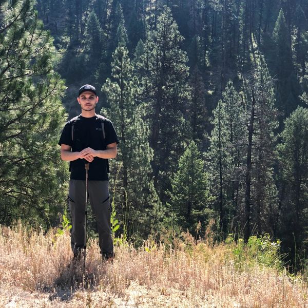 A man stands in a sunlit clearing with a forest backdrop, holding a walking stick.