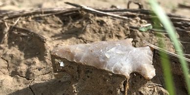 An Arrowhead/Projectile Point. An artifact exposed by plowing and recent rainfall.