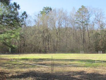 Dual perimeter fencing and exclusion plots on a food plot