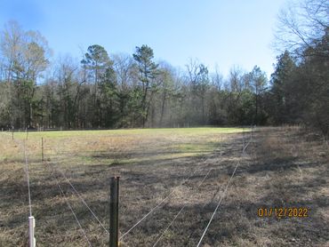 Dual perimeter fencing and exclusion plots on a food plot