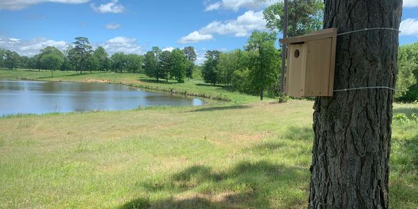 Bluebird Nest Box installed in a tree near foraging habitat