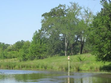 A wood duck box installed on a pond in East Texas.