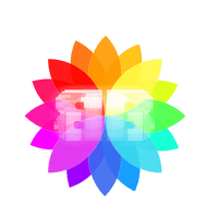 Bloom Bit