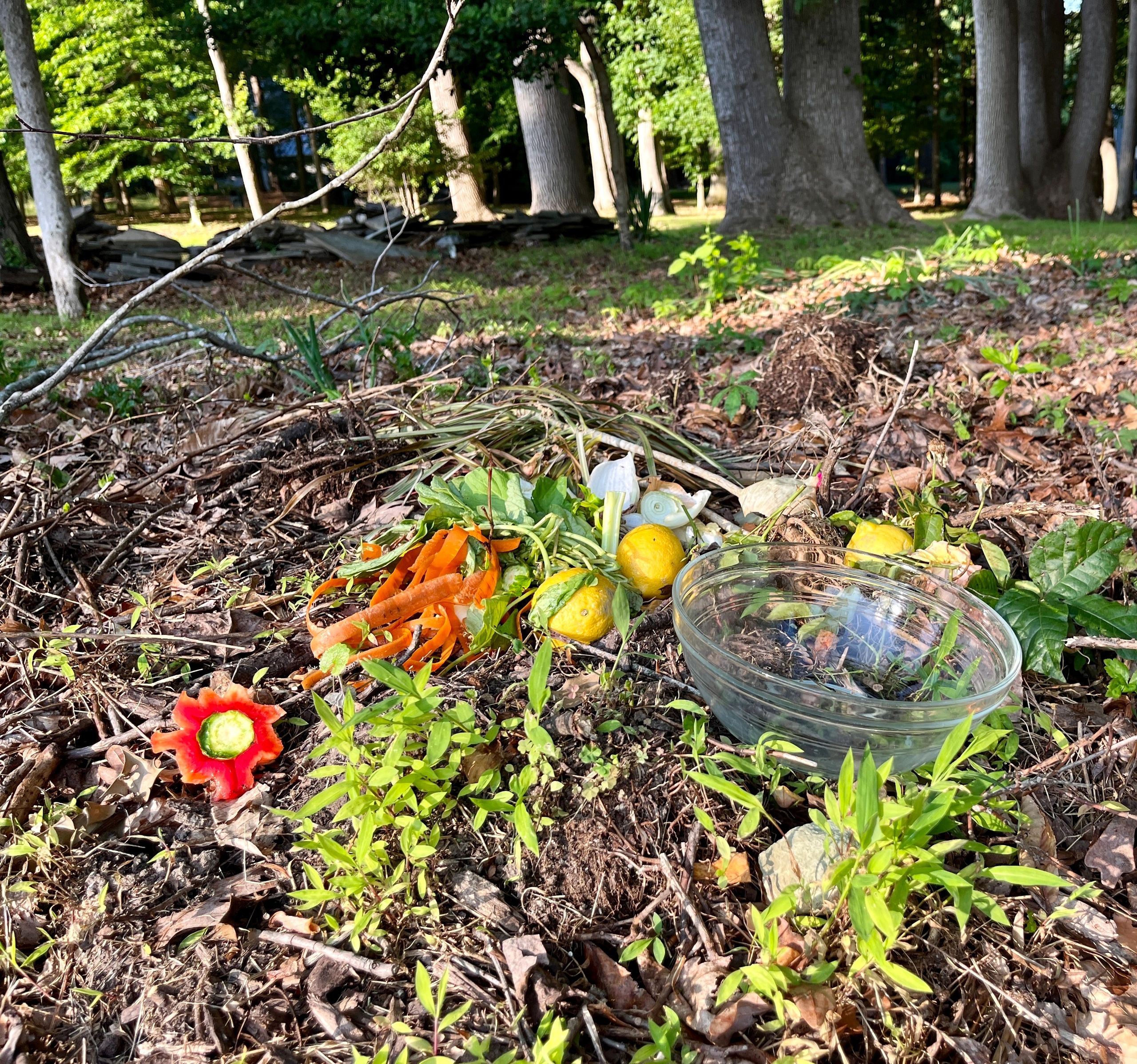 Jeri's Organizing & Decluttering News: Kitchen Organizing Goes Green:  Compost Bins