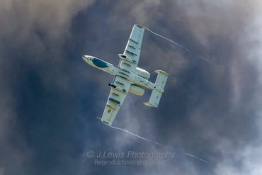A10 Thunderbolt, A10 Thunderbolt, Warthogs

