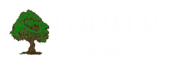 Thomas Nursery Trees