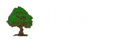 Thomas Nursery Trees