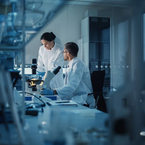 Two scientists working in a laboratory