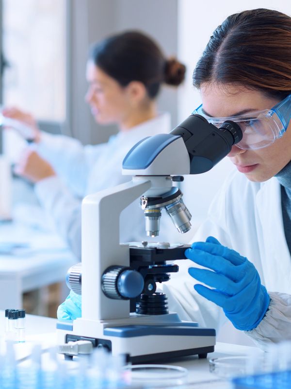 A laboratory with scientists working with microscopes