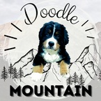 Doodle Mountain