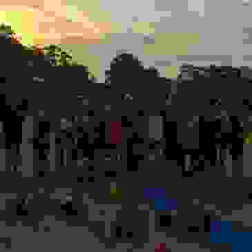 lugarno peakhurst oatley mgfit bootcamp strength boxing crossfit