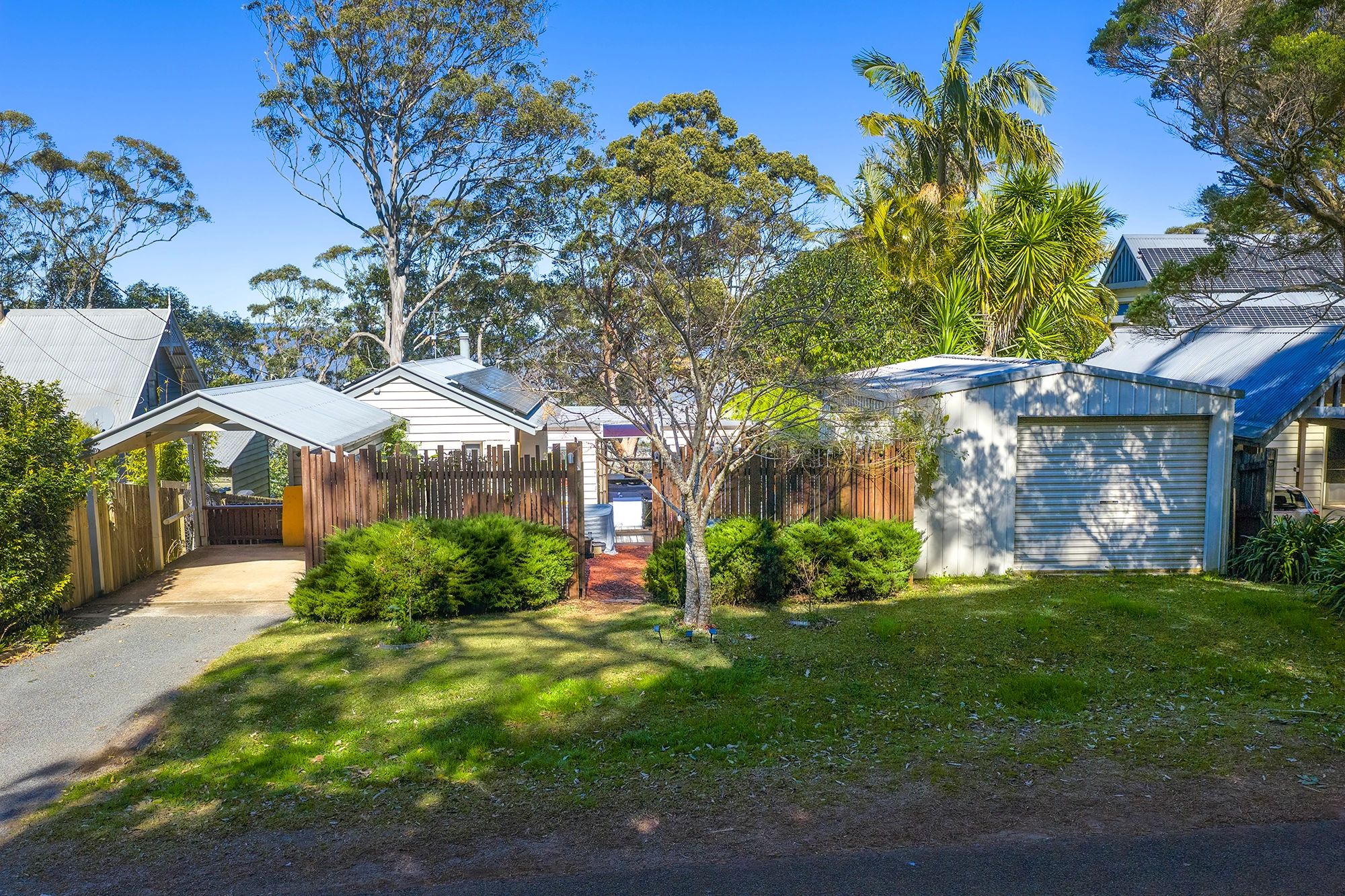 A sunny suburban yard with a white garage and green bushes.