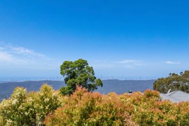 Clear blue sky over greenery with a distant city skyline.