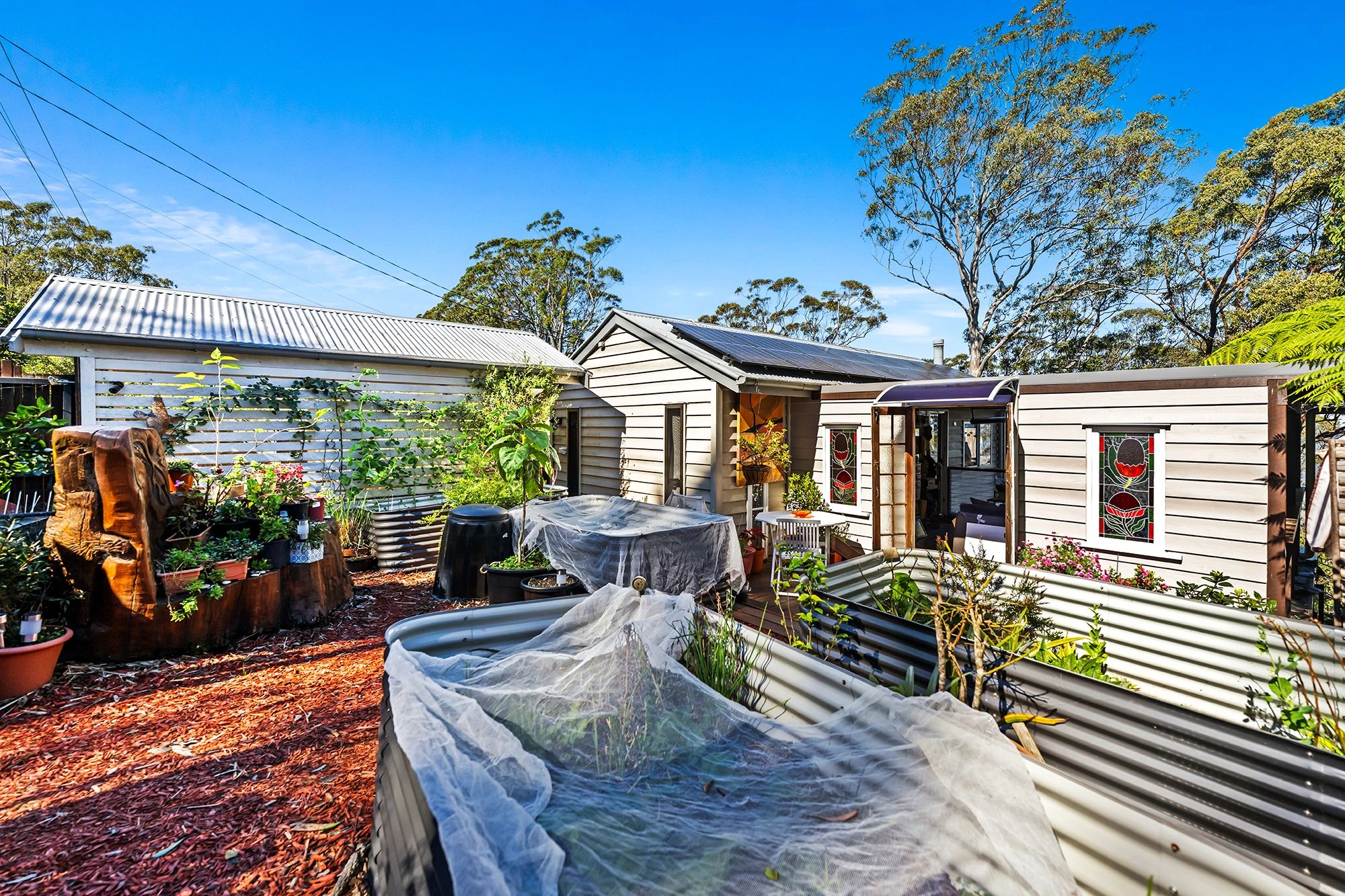 Sunny backyard garden with raised beds and a cozy cottage.