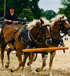 Calamity & Jane in stride