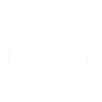 Evergreen Apparel