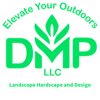 DMP Landscape