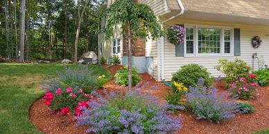 Landscape planting