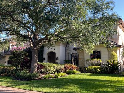 A large house partially hidden behind a big tree and lush garden.