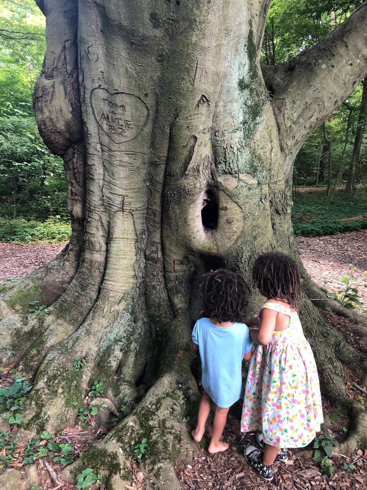 Giving gifts to the trees