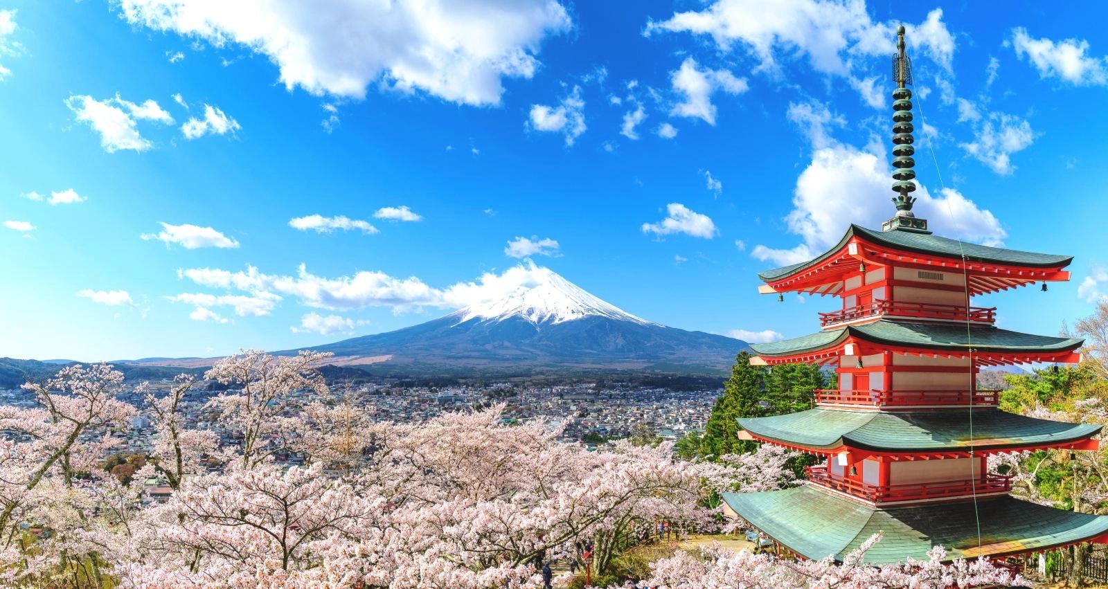 2023, 2024 Japan Cherry Blossom Cruise to Tour Japan: Best Package