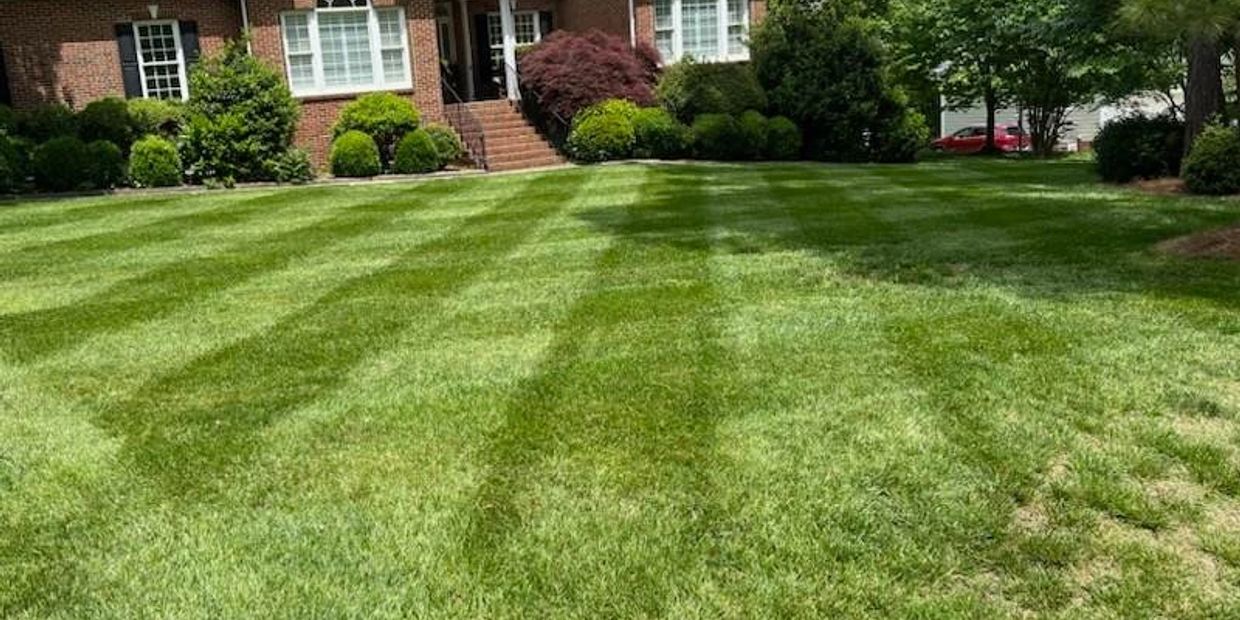 Freshly mowed lawn with striped patterns in front of a brick house.