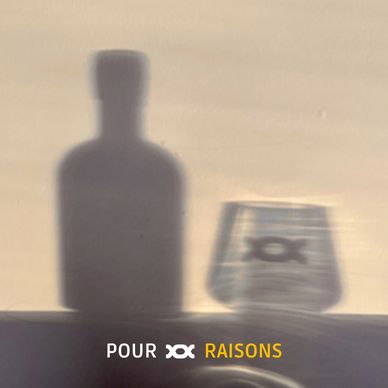 Best Mediterranean gin botanicals OXXiTAN Mediterranean gin character. Mediterranean gin temperament