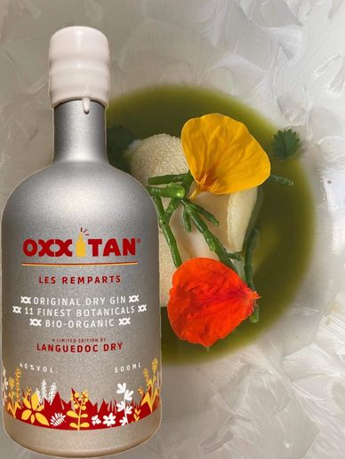 BEST GIN FOOD PAIRING - Languedoc, Méditerranean best OXXiTAN gin food recipes and gin food pairing 