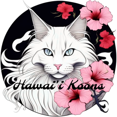 Hawaii Koons Logo. 