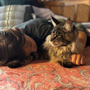 boy sleeping with maine coon cat