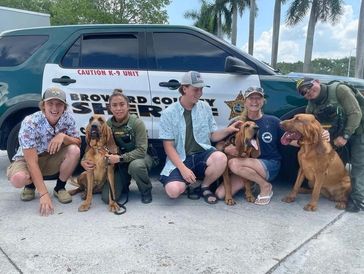 Bluegrass Bloodhound pups with Broward Co SO, FL