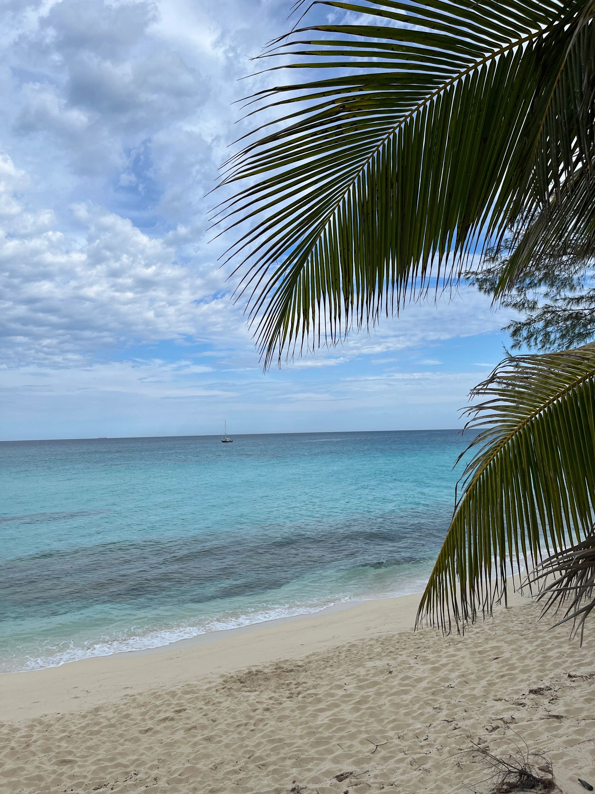 One of many beaches found right off the road