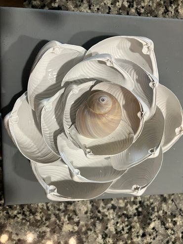 Magnolia shell flower