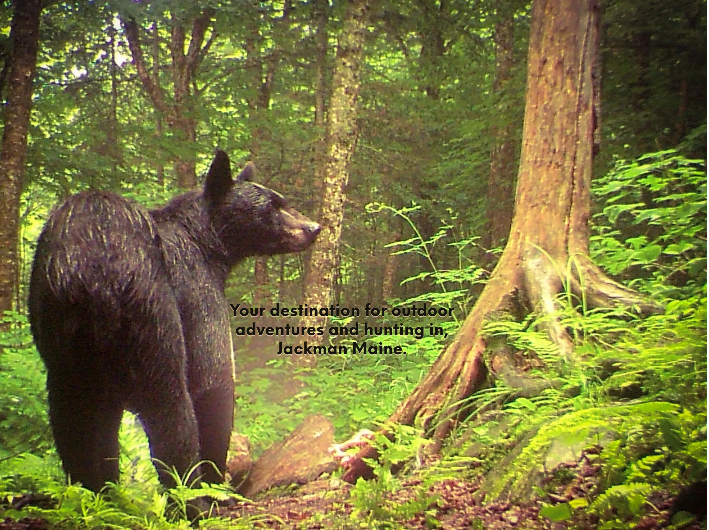 Cedar Ridge Outfitters — photo 1