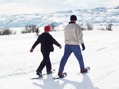 snowshoeing 