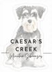 Caesar’s Creek Miniature Schnauzers