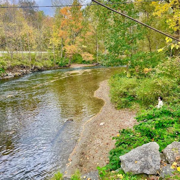 nature, peace